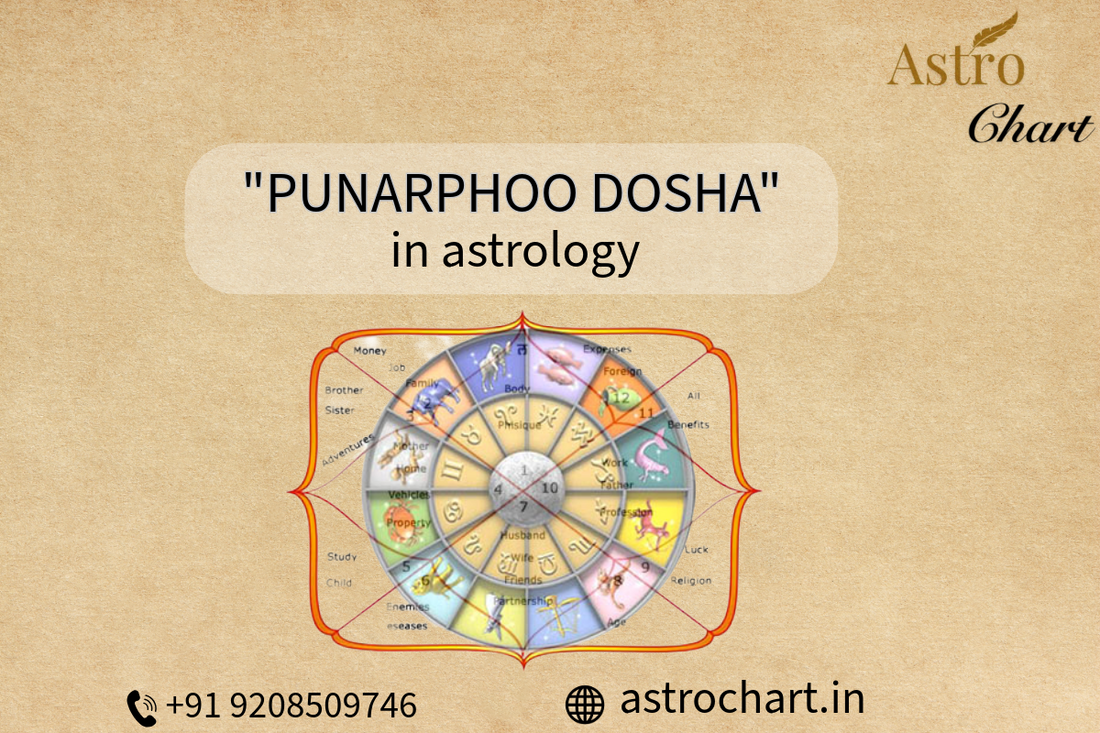 DOUBLE ROLE OF PUNARPHOO DOSHA