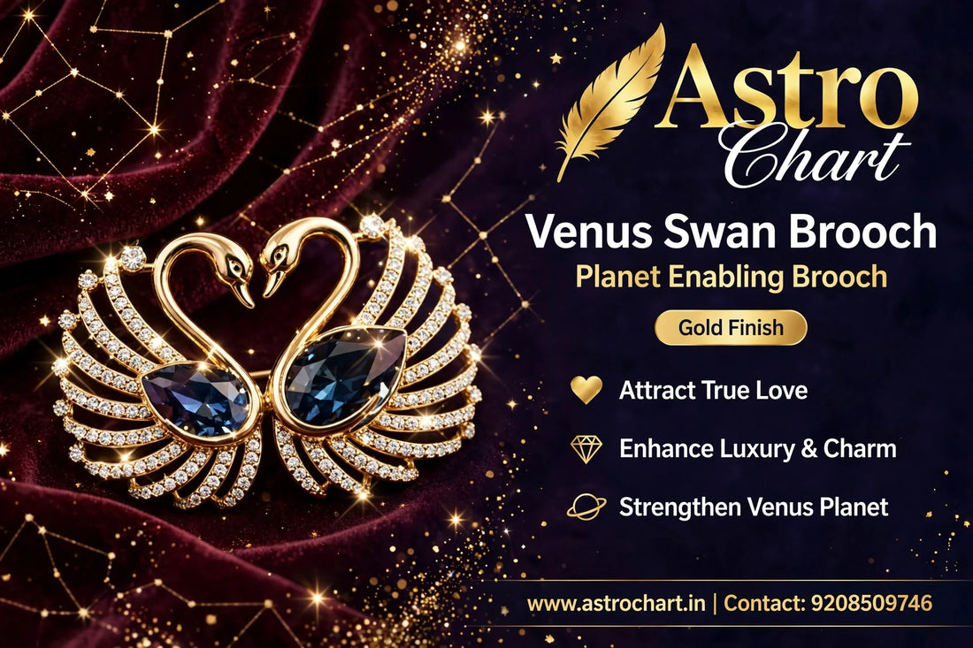 Venus Swan Brooch